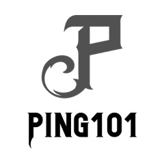 Ping101