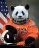 PandasAstronaut
