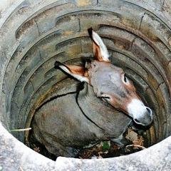 bunarmafia