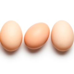 5EGGSBTW
