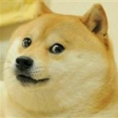 Dragoes