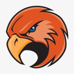 Hawks