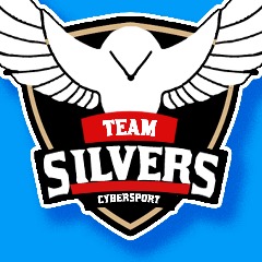 Team SilverS