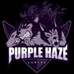 Purple Haze