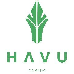 HAVU GAMING