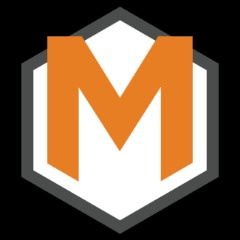 Team Metaleak