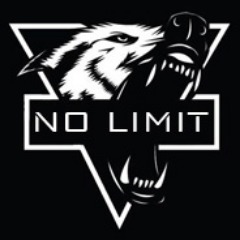 No Limit Gaming
