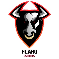 Flaku eSports