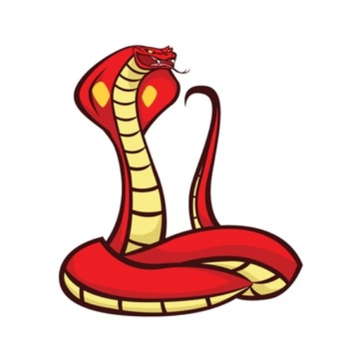 COBRA_09