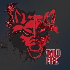 TeamWildFire