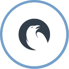 RVNS Esports