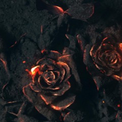 Dark Rose
