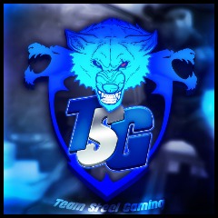 TeamSteelGaming