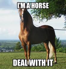 HorseKings