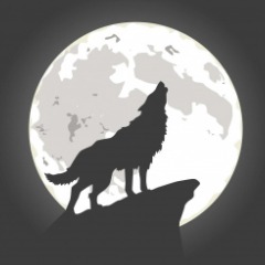 DarkMoon