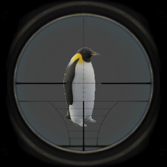 LalliHunters37