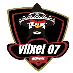 Vihaiset Viixet