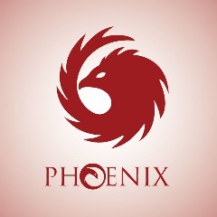 Team Ph0enix