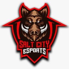 SaltCity Esport