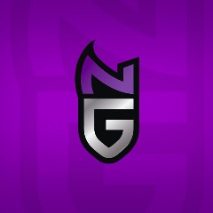 NiceGuyEsports