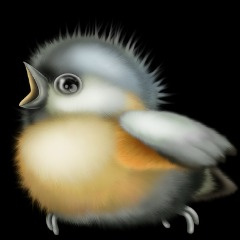 huDSZ