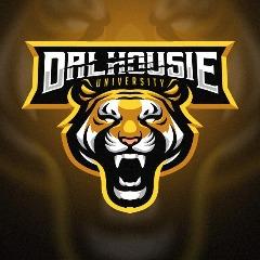 DALCS Gold
