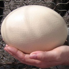 BigBallsTeam