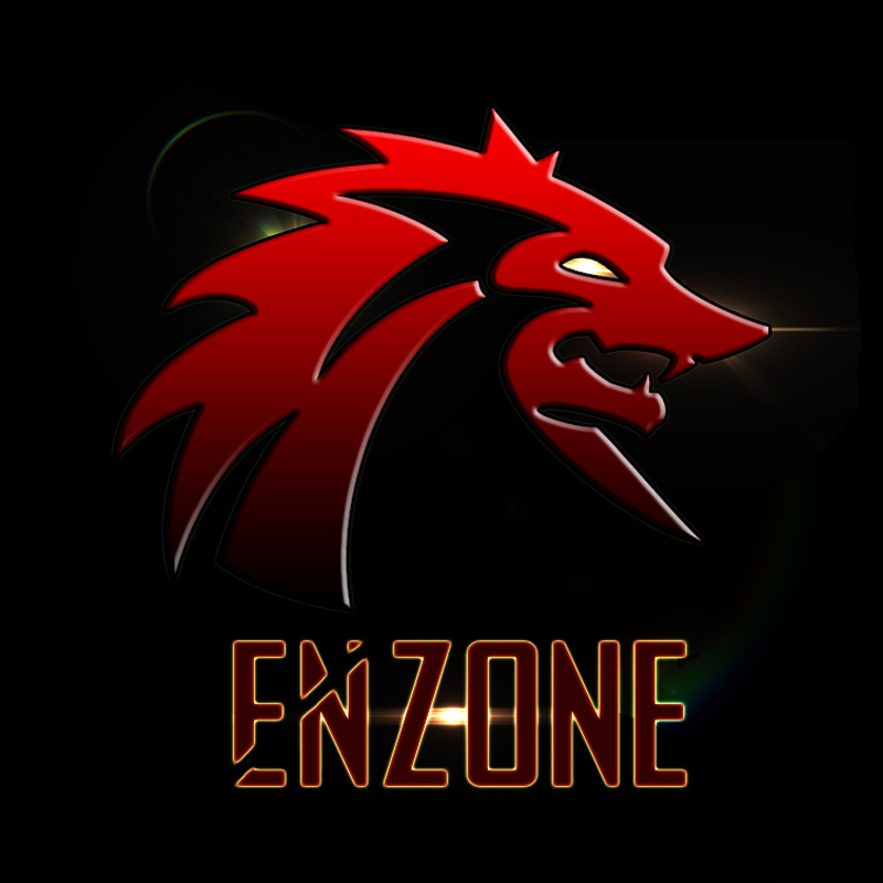 Team EnZone