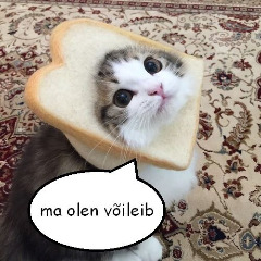 OonTaaKissa