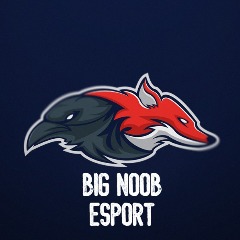 BigNoob ESPORTS