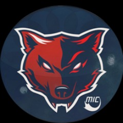MIC org