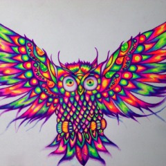 Flying High