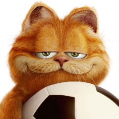 Orange Cats