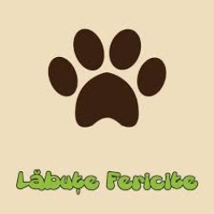 LvbagiiDeLa402