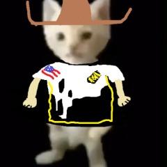 Natus Meowcere
