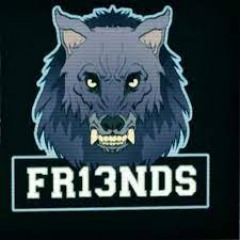 FR13NDS