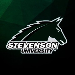 SUESPORTS