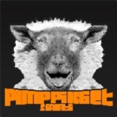 Pimppikset