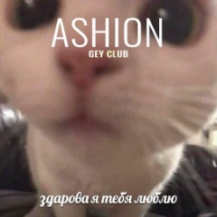 AsHioN