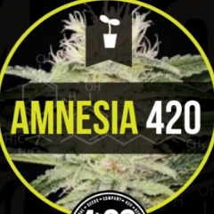AIMNESIA