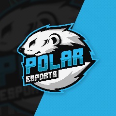 POLAR esport
