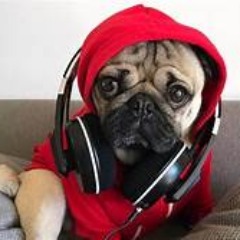 Puggs Team