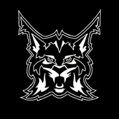 Furious Lynxes
