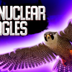 NuclearEagles
