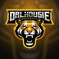 Dalhousie CSGO