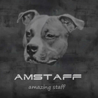 AMSTAFF.GO