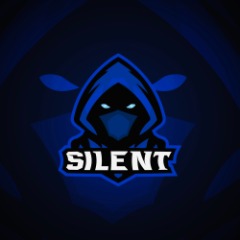 SILENT TEAM
