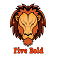 fivebold