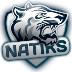 Natiks-Gaming
