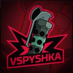 VSPYSHKA_TEAM